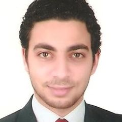 Hassan Wael, Site Engineer