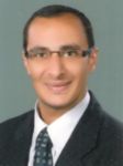 Ahmed Metwally, Team Leader