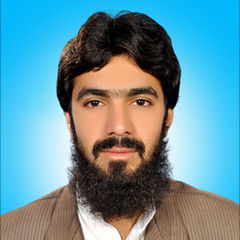 shaukat ullah