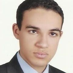 Mohamed ِAbd El-Gawad Fetouh Hegab, Support Supervisor