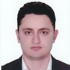 Ahmed Zidan, Sales Representative