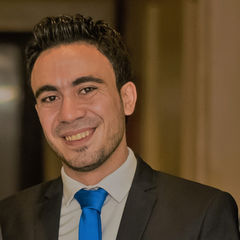 Helmi Hossny Helmi Mohammed