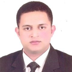 Ahmed Helmy, Eastern  Region Sales Supervisor