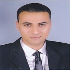 محمد عبد الفتاح عباس محمد قناوى, محامى