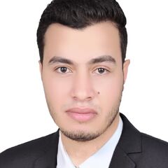 Magdy Abdelrahman abdelaal salem, accountant