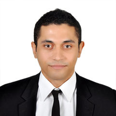 sherif ibrahim, Emirates airline: Flight attendant services