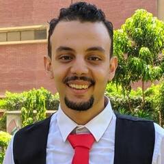 Ahmed Magdy Magdy, Siebel CRM Specialist
