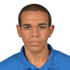 Ahmed Yousry, HVAC Engineer