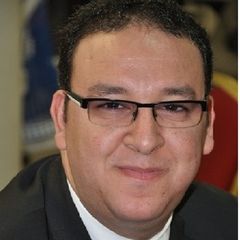 kamal El-Shafai, Sales Manager