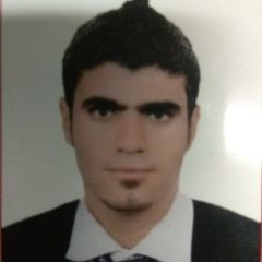 محمد فتحي, Engineer