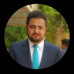 Ahmad Muhsen, Software Development Team Lead