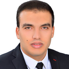 Ahmed Salah, Network Engineer
