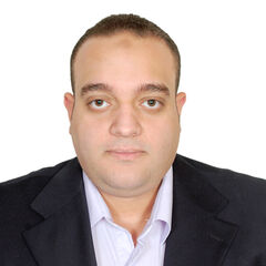 Ayman Amer, Lead Consultant