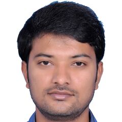 Ramesh Kolavala, SAP FICO Senior Consultant