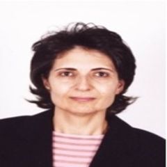 Aida Hayek