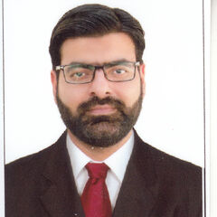 Sarfraz Ahmed, Finance Manager