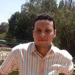 Abdelrahman Nabil MohamedAbuelazem, Data entry employee