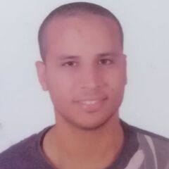 Mohamed Sayed, Dot Net Developer