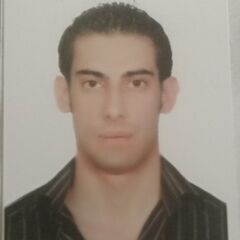 Nidal Sayegh, driver