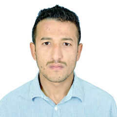 Thabet Omar, مدير فريق التطوير والبرمجة