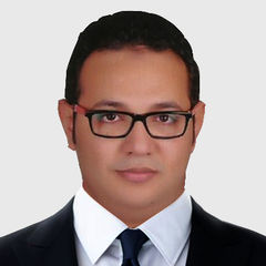 محمد أبو العينين, Network Technical Lead