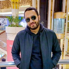 حمزة فرغلى طه