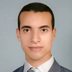 Ahmed Magdi Yassin, Junior engineer