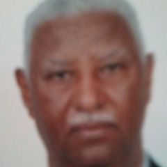Ibrahim daffalla ahmed daffalla, logistics manager