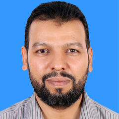 Mahmoud Abdelaziz, Postdoctoral 
