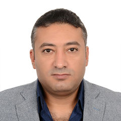 Mahmoud AbdElWahab Mahmoud, IT PMO Senior Projct Manager