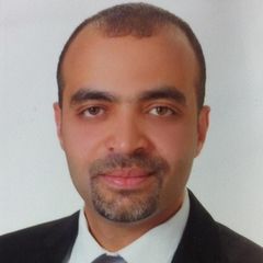 أحمد غنيم, PROJECTS MANAGER