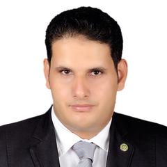 محمد الباجوري, Senior ERP Consultant & ERP Project Manager 