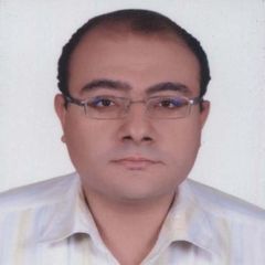 Maged Atfi Samman Abdelshahid, ادخال بيانات للكمبيوتر