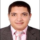 Mostafa Mohsen Hassanin Farg, team leader