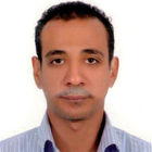 هشام ذهني, Web Graphic Designer