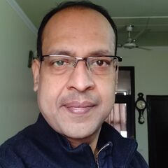 vipin mittal, Chief Investment Officer