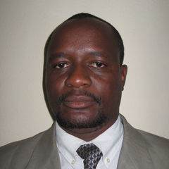 Tawanda Mutingwende, Audit Manager
