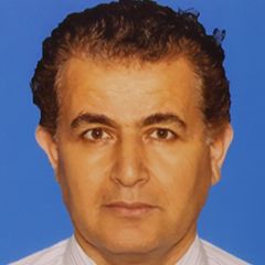 boumedyen shannaq, Project Manager  and Information System expert