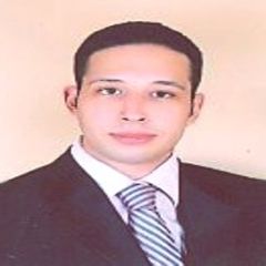 Ahmed Sabry, محاسب ضريبي