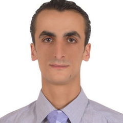 وائل العريضي, Team Leader - Financial officer - Trainer