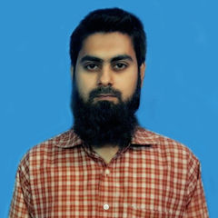 Mustafeez Ahmed, web developer