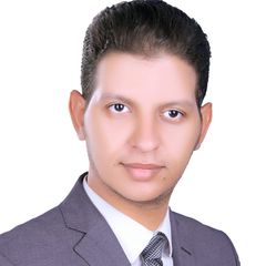 اسماعيل ابراهيم عبد العال, sales team leader