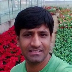 ravikanth kore