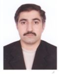 Salman Shafiq, Chief Audit Executive