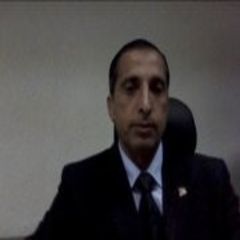 Issam Elzarei, Contracts & Claims Director