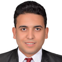Mohamed Bassam Abd El Fattah, Logistics Specialist