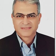Mahmoud  Mansour