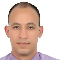أحمد حنفي, Sales Executive