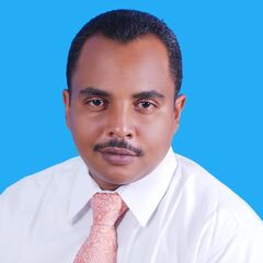 Sufian AbdelMoniem Mukhtar, IT. Project Manager & Business Analyst