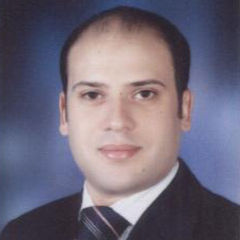 تامر محمد فريد عفيفى, Senior Sales Executive